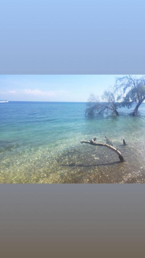 Maleo Moyo Hotel&Dive Resort Moyo Island Exterior foto