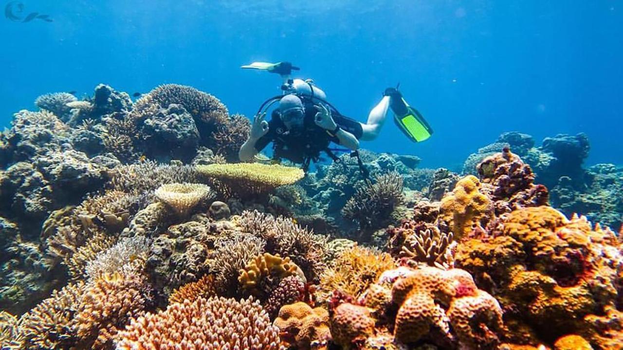 Maleo Moyo Hotel&Dive Resort Moyo Island Exterior foto